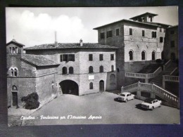 TOSCANA -MASSA CARRARA -CASALINA PONTETREMOLI -F.G. LOTTO N°389 - Massa