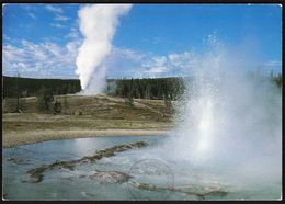 USA United States Rock Springs 1994 / Sawmill And Castle Geysers / Yellowstone National Park - Yellowstone