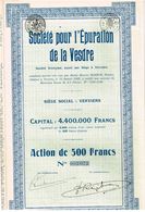 Ancienne Action - Sté Pour L'Epuration De La Vesdre  - Titre De 1929 - Textiel