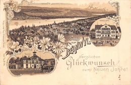 Beinwil  Litho  1896 - Beinwil Am See