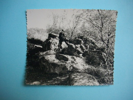 PHOTOGRAPHIE  LARDY  -  91  -  Rochers Près De Lardy  -  8,5 X  10  Cms - 1964  -  Essonne - Lardy