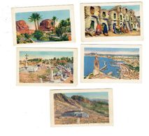 LOT 5 - Chromo Illustration IMAGE - Adolphe ANSEL Strasbourg Meinau - Sammelbilderalben & Katalogue