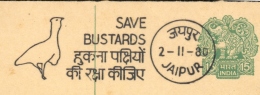 BIRDS-SAVE BUSTARDS-PICTORIAL CANCELLATION ON POST CARD-INDIA-1980-BX1-372 - Oblitérations & Flammes