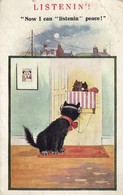 Cats, Black Cat Listening Radio, Now I Can Listen In Peace, Old Postcard - Cats