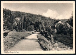 B2419 - Bärenburg - Waldbärenburg - Weißeritztal Mit Hocheck - P. Wolff - Weizel Tiefdruck - Gerhard Binner - Altenberg