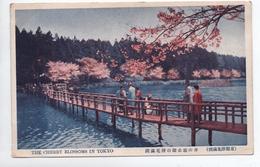 THE CHERRY BLOSSOMS IN TOKYO - Tokio