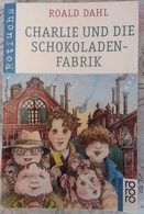 S99 ROALD DAHL CHARLIE UND DIE SCHOKOLADENFABRIK BILDER VON MICHAEL FOREMAN - Fantasía