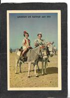 Netherlands-Groeten Uit Katwijk Aan Zee,Young Girl & Boy Riding Mules 1954  - Antique Postcard - Katwijk (aan Zee)