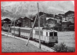 CP Train - Automotrice Et Remorque Près De Inden - Photo JL Rochaix - N° LLB - Inden