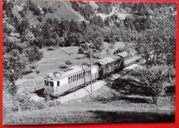 CP Train - Automotrice Et Remorque En Dessous De Inden - Photo JL Rochaix - N° LLB 2 - Inden