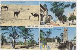 AFRIQUE,AFRIKA,AFRICA,MAGHREB,Algérie,Algéria,BISKRA,4 Clichés,palmier,dattes,te Mple,touaregs,mairie,1950 - Biskra
