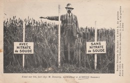 80 - ACHEUX - Essai Sur Blé, Fait Chez M.Desanty, Agriculteur à Acheux - Acheux En Amienois