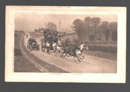 Hamilton - Fuhrwerke / Voiture - Carte Gaufrée / Waffled - Horses - Attelage - Hamilton