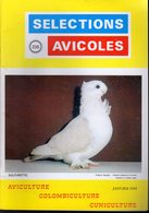 SELECTIONS AVICOLES AVICULTURE COLOMBICULTURE CUNICULTURE JANVIER 1995  N° 336 - Animaux