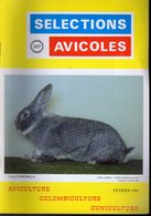 SELECTIONS AVICOLES AVICULTURE COLOMBICULTURE CUNICULTURE FEVRIER 1996  N° 347 - Animaux