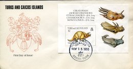 31822 Turk And Caicos Island,  Fdc Of S/s Prehistoric Animals, Dinosaur 1993 - Prehistory