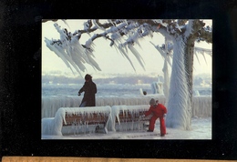 GENEVE Suisse  GE : Glace Sur Le Quai De Versoix  Février 1985 - Versoix