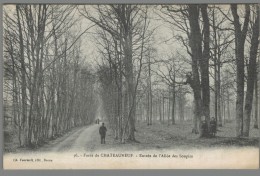 CPA 28 - Châteauneuf En Thymerais - Forêt De Chateauneuf - Entrée De L'Allée Des Soupirs - Châteauneuf