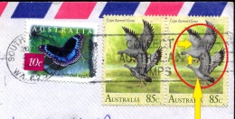 BIRDS-CAPE BARREN GOOSE-ERROR-COLOR VARIETY-AUSTRALIA-USED ON COVER FROM AUSTRALIA TO INDIA-RARE-BX1-375 - Oies