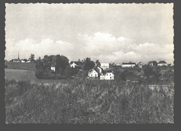 St-Vith - Panorama - état Neuf - Buchhandlung Felten / Nels Photothill - Sankt Vith