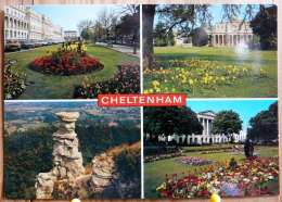 CHELTENHAM MULTIVUES MULTIVIEW SCAN R/V - Cheltenham