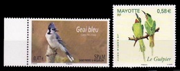 (158) Mayotte + (496) St. Pierre / SPM / Birds / Oiseaux / Vögel / Vogels  ** / Mnh  Michel 248 + 1151 - Other & Unclassified