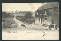 Abbaye D'Aulne. Chemin De Landelies.Bêtail. Nels Série 10, N°77. Recto/verso - Thuin