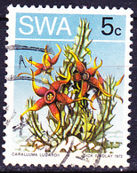 Südwestafrica Southwest Africa - Plantae (Caralluma Lugardii) (MiNr: 375 Ay) 1973 - Gest Used Obl - Zuidwest-Afrika (1923-1990)