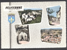 CPSM - Pélissanne - Multivues - Voir 2 Scans - Pelissanne