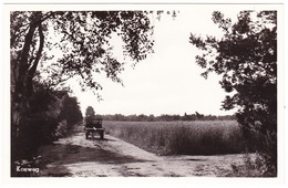 Epe - Koeweg - 1955 - Epe