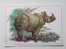 Panzernashorn Rhinoceros Unicornis - Rhinocéros