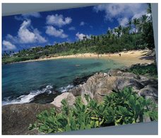 (715) Hawaii - Maui Beach - Maui