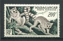 222 MADAGASCAR 1954 - Yvert A 77 - Singe Lemurien - Neuf ** (MNH) Sans Trace De Charniere - Nuevos