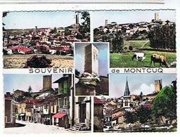 46  SOUVENIR  DE MONTCUQ  CPM    KK911 - Montcuq