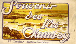 Dépt 50 - GRANVILLE - Souvenir Des ÎLES CHAUSEY - Carnet Album 12 Cartes Détachables - Édition BESNARD, Rue Des Juifs - Granville