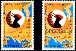 BIRDS-WHITE BELLIED WOOD PECKER-NORTH KOREA-1978-WITH SPECIMEN-SCARCE-MNH-B9-705 - Specht- & Bartvögel