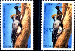 BIRDS-WHITE BELLIED WOOD PECKER-NORTH KOREA-1978-WITH SPECIMEN-SCARCE-MNH-B9-705 - Spechten En Klimvogels