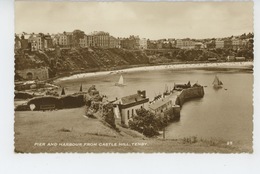 ROYAUME UNI - PAYS DE GALLES - PEMBROKESHIRE - Pier And Harbour From Castle Hill - Pembrokeshire