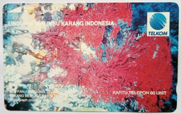 Indonesia  60 Units  " Sea Fan  " - Indonésie