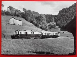 CP Train - "Golden Moutain Express" Près De Rossinière En 1932 - Photo Kettel - N° 3.7 - Rossinière