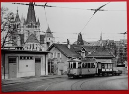 CP Train - César Roux - Train Pour Savigny - Photo M Grandguillaume N° 3TL - Savigny