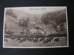 Bad Grund Harz Ca. 1920 - Bad Grund