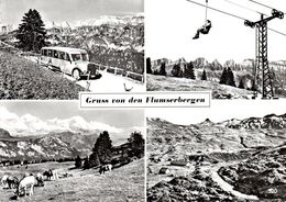 Gruss Von Den Flumserbergen - Flums - Car Postal - (carte Grand Format 10X15 Cm) - Flums