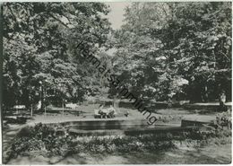 Bad Düben - Im Kurpark - Foto-Ansichtskarte Grossformat - VEB Bild Und Heimat Reichenbach - Bad Dueben