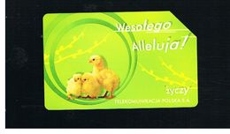 POLONIA (POLAND) - TP  -  ALLELUJA, CHICKS   - USED - RIF. 10237 - Gallinaceans & Pheasants