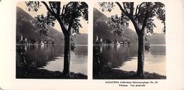 Collection Stéréoscopique GALACTINA N°25 / VITZNAU (Lucerne)  Suisse Vue Générale  -photos Stéréoscopiques NPG 1906 - Stereoscoop