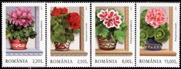 Romania - 2017 - Window Smile Geraniums - Mint Stamp Set - Neufs