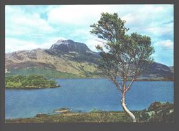 Loch Maree And Slioch - J. Arthur Dixon Natural Colour Photogravure - Ross & Cromarty