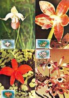 1987 - FLOWERS - ORCHIDS - 19 Maximum Cards - Cartes-maximum