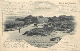 GRUSS AUS BORKUM - Bauernhof Im Ostland. - Borkum